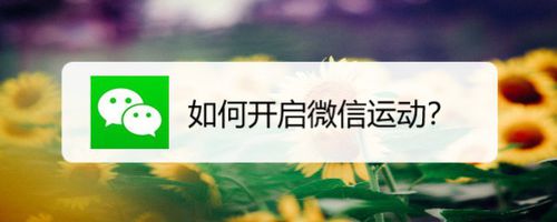 教你微信运动怎么打开。