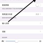 小编分享iphone11怎么打开朗读所选项功能。