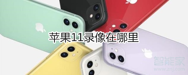 分享iphone11录像在什么位置。