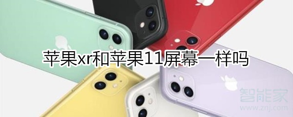 教你iphonexr和iphone11屏幕分别是多大。