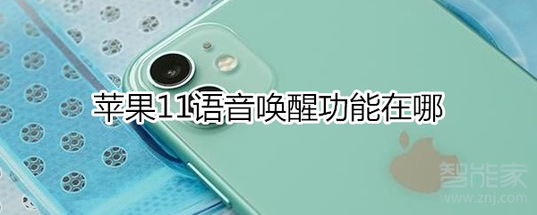 我来教你iphone11语音唤醒功能在什么位置。