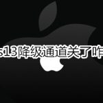 我来教你ios13降级通道关了如何处理。