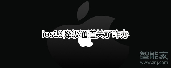 我来教你ios13降级通道关了如何处理。