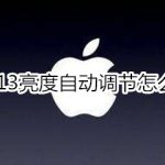 关于ios13亮度自动调节如何关闭。