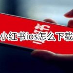 我来教你小红书ios如何下载。