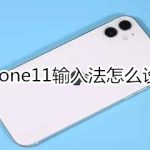 小编分享iphone11输入法如何设置。