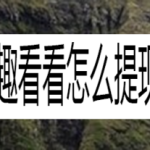 教你趣看看如何提现。