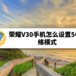 我来教你荣耀V30手机如何设置5G网络模式。