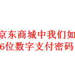 我来教你手机版京东商城中怎么修改6位数字支付密码。