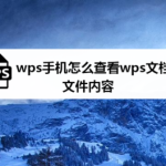 小编分享wps如何查看wps文档文件内容。