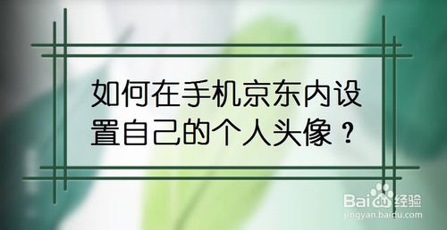 小编分享怎么在手机京东内设置自己的个人头像。