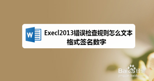 分享Execl2013错误检查规则如何文本格式签名数字。