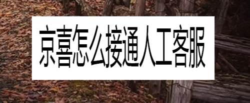 小编分享京喜在哪联系人工客服。