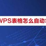 分享手机版WPS表格怎么自动求和。