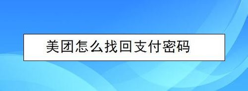 分享美团支付密码忘了怎么办。