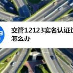 分享交管12123实名认证过期怎么恢复。