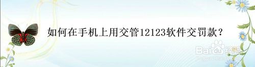 小编分享怎么在交管12123交罚款。