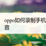 关于oppo在录屏时怎么录制屏幕中的声音。