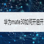 关于华为mate30在哪打开开发者选项。