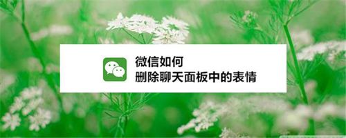 我来分享怎么清除微信中的表情。