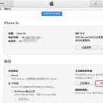 关于iPhone怎么找回删除的短信。