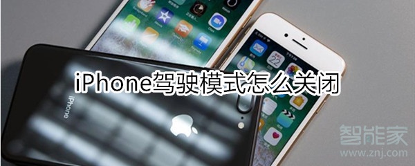 小编分享iphone驾驶模式在哪关。