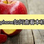 分享iphone怎么看自己的手机号。