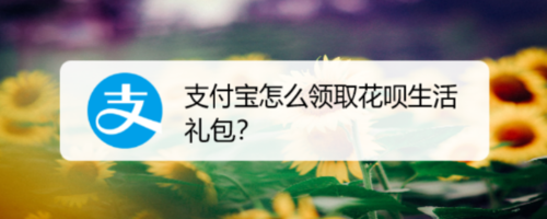 分享支付宝花呗生活礼包在哪领。