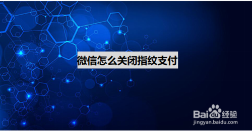 我来教你微信指纹支付在哪关闭。