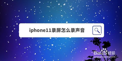 我来分享iphone11录屏时怎么录制屏幕中的声音。