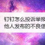 关于钉钉在哪可以举报他人发布的不良信息。