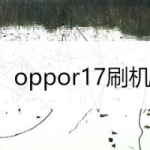 教你oppor17怎么刷机。