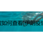 分享支付宝在哪查看“伊朗疫情数据”。