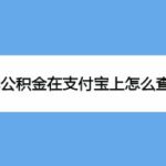 我来教你支付宝在哪查看合肥公积金。