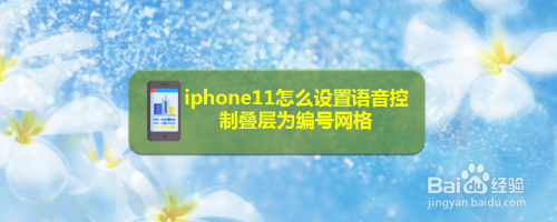 教你iPhone11设置语音控制叠层为编号网络图文我来教你。