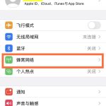 分享iPhone11流量使用情况查看步骤介绍。