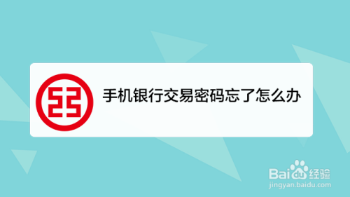 我来教你手机银行忘记支付密码怎么找回。