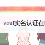 小编分享soul怎么进行实名认证。