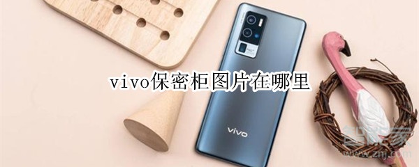 关于vivo保密柜图片在哪查看。