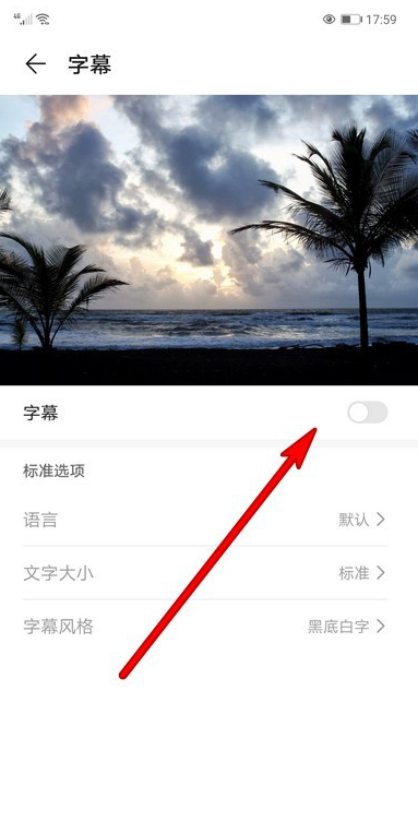 华为手机怎么设置字幕文字大小