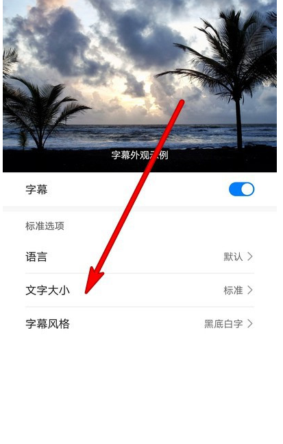 华为手机怎么设置字幕文字大小