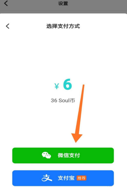 怎么充值Soul的虚拟币