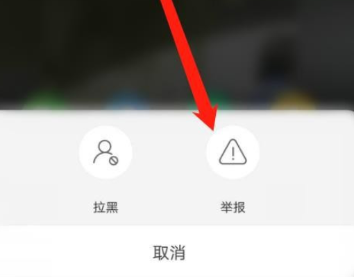 皮皮虾举报用户步骤分享