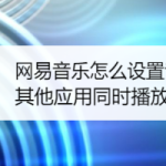 教你网易云音乐怎么开启与其他应用同时播放。