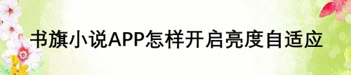 关于书旗小说在哪设置亮度自适应。