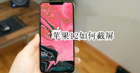 教你iPhone12怎么进行截屏。