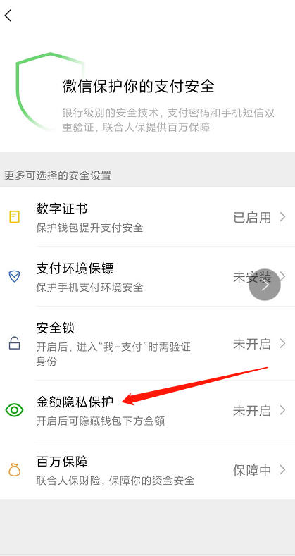 微信钱包金额隐藏保护开启方法介绍