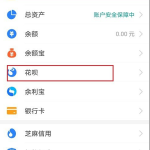 我来分享支付宝怎么查看花呗额度劵使用明细。