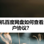 教你手机百度网盘用户协议怎么查看。