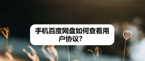 手机百度网盘用户协议怎么查看